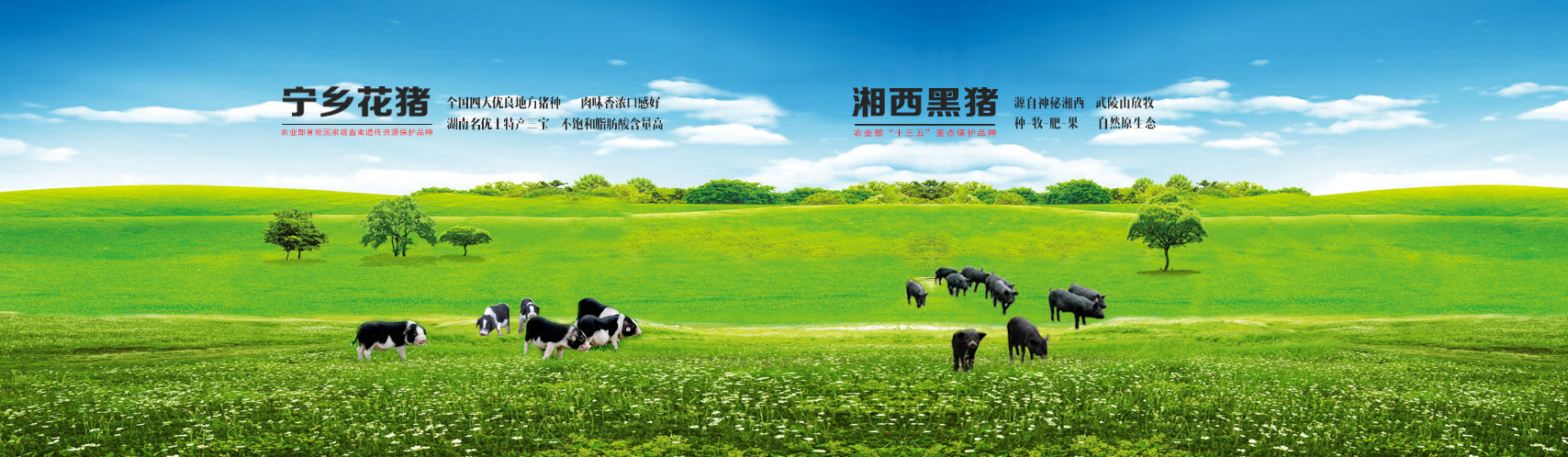 首页| 尊龙(中国集团)官方网站